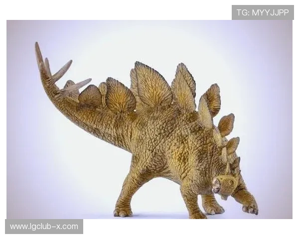 剑龙渴望玩游戏却因各种原因无法畅玩背后的心理与挑战探索